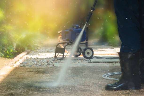 Best Soft Washing for Delicate Surfaces in San Felipe, TX